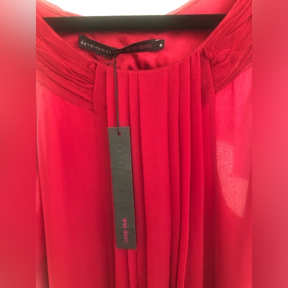 NWT Development by Erica Davies dress - Picture 4 of 5